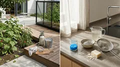 Plísně v deštivém období? Tahle směs z popela a modré skalice může rozhodnout