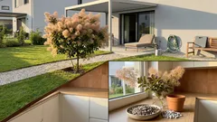 Škumpa koželužská: parukový strom, který udělá efekt za pár sezon (a jednu věc mu nedělejte)