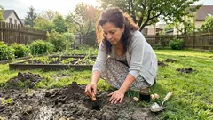 Krtince na záhonech: vinné korky s „pachem“ fungují jen tehdy, když trefíte správné místo