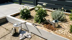 Jak založit bílý záhon z prken: 3 trvalky, které spolu ladí a kvetou celé léto